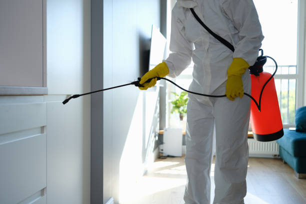 Trusted Marsing, ID Mold Remediation Experts