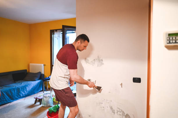 Best Mold Testing and Inspection Services in Marsing, ID